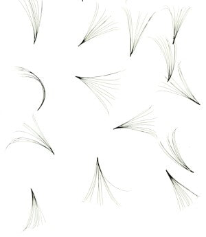 Bulk 10D Pre-made Lash Volume Fans - D 0.05